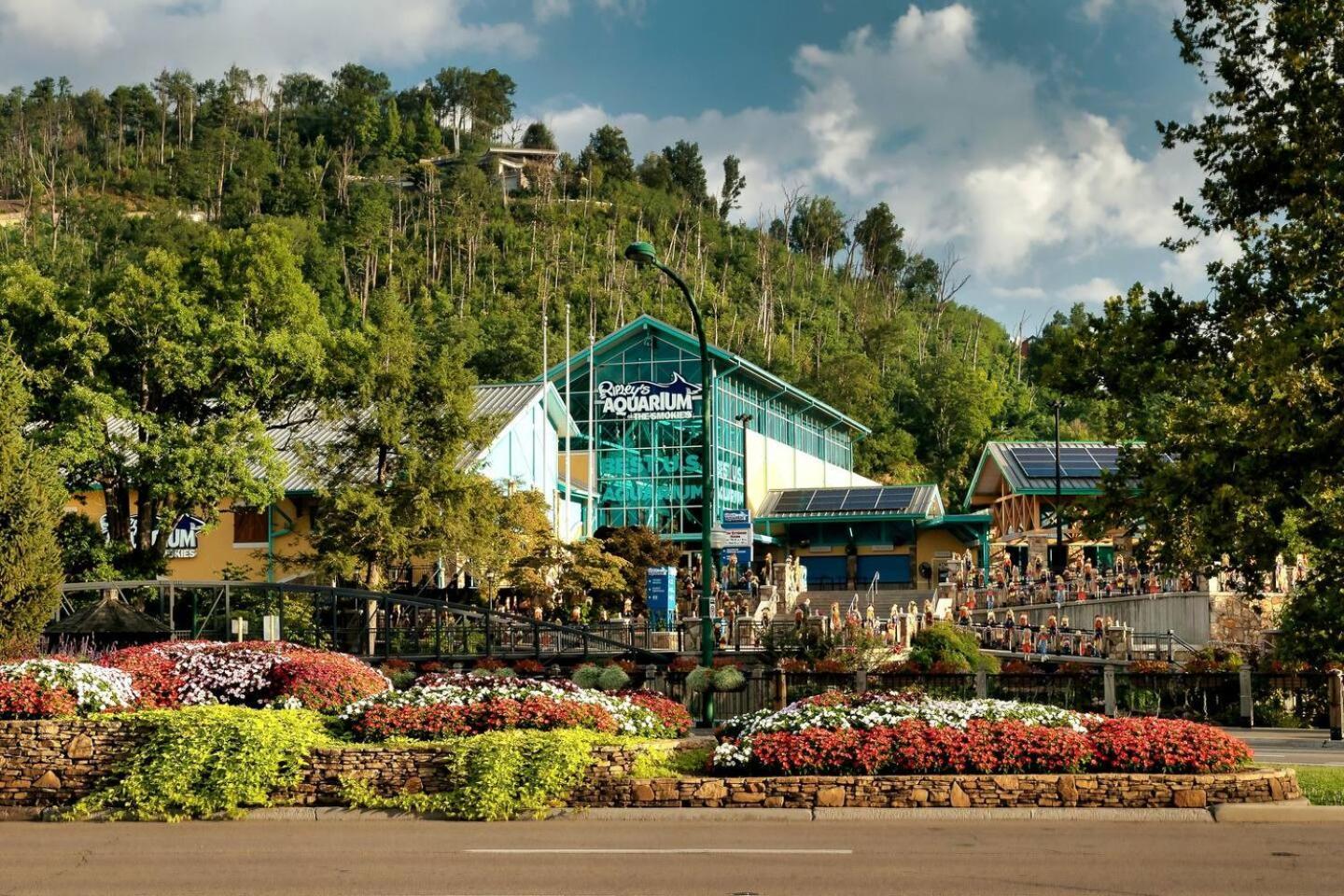 Vila Views I Mins To Dollywood I Hot Tub I Pool Table Sevierville Exteriér fotografie