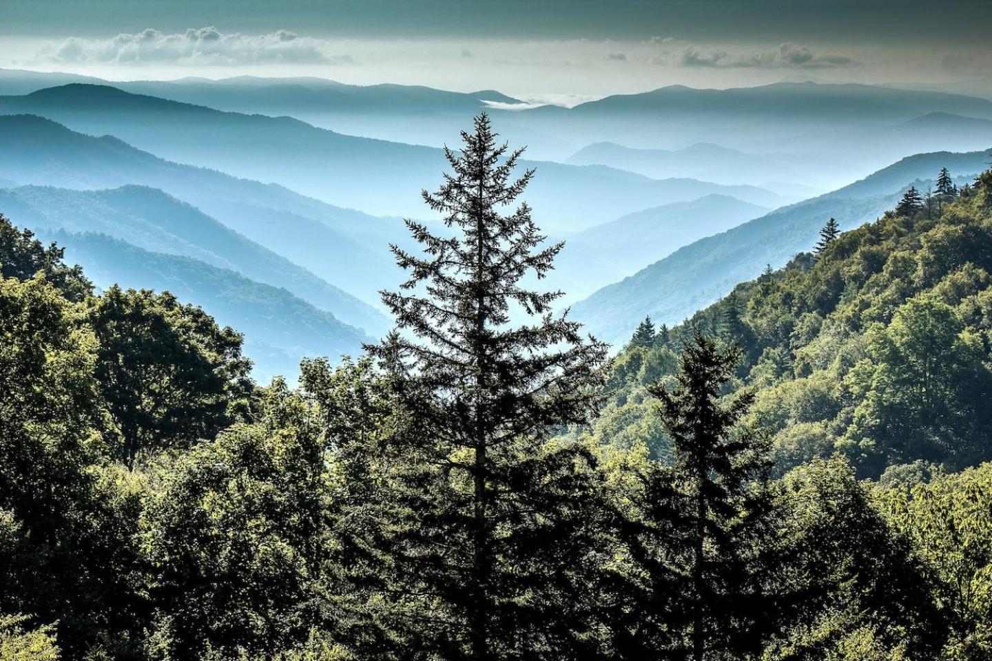 Vila Views I Mins To Dollywood I Hot Tub I Pool Table Sevierville Exteriér fotografie