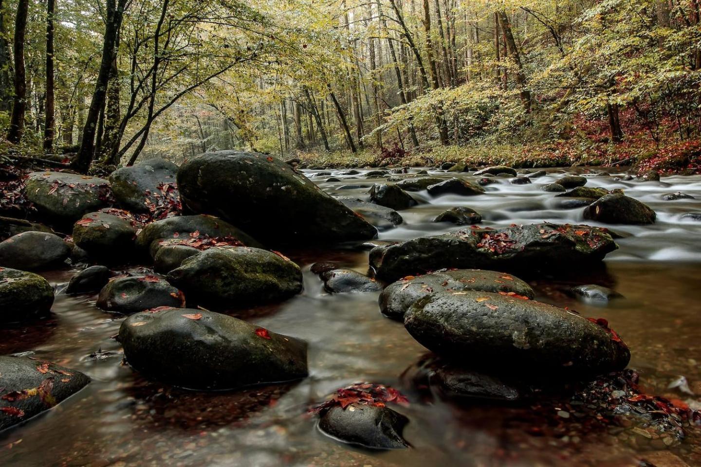 Vila Views I Mins To Dollywood I Hot Tub I Pool Table Sevierville Exteriér fotografie