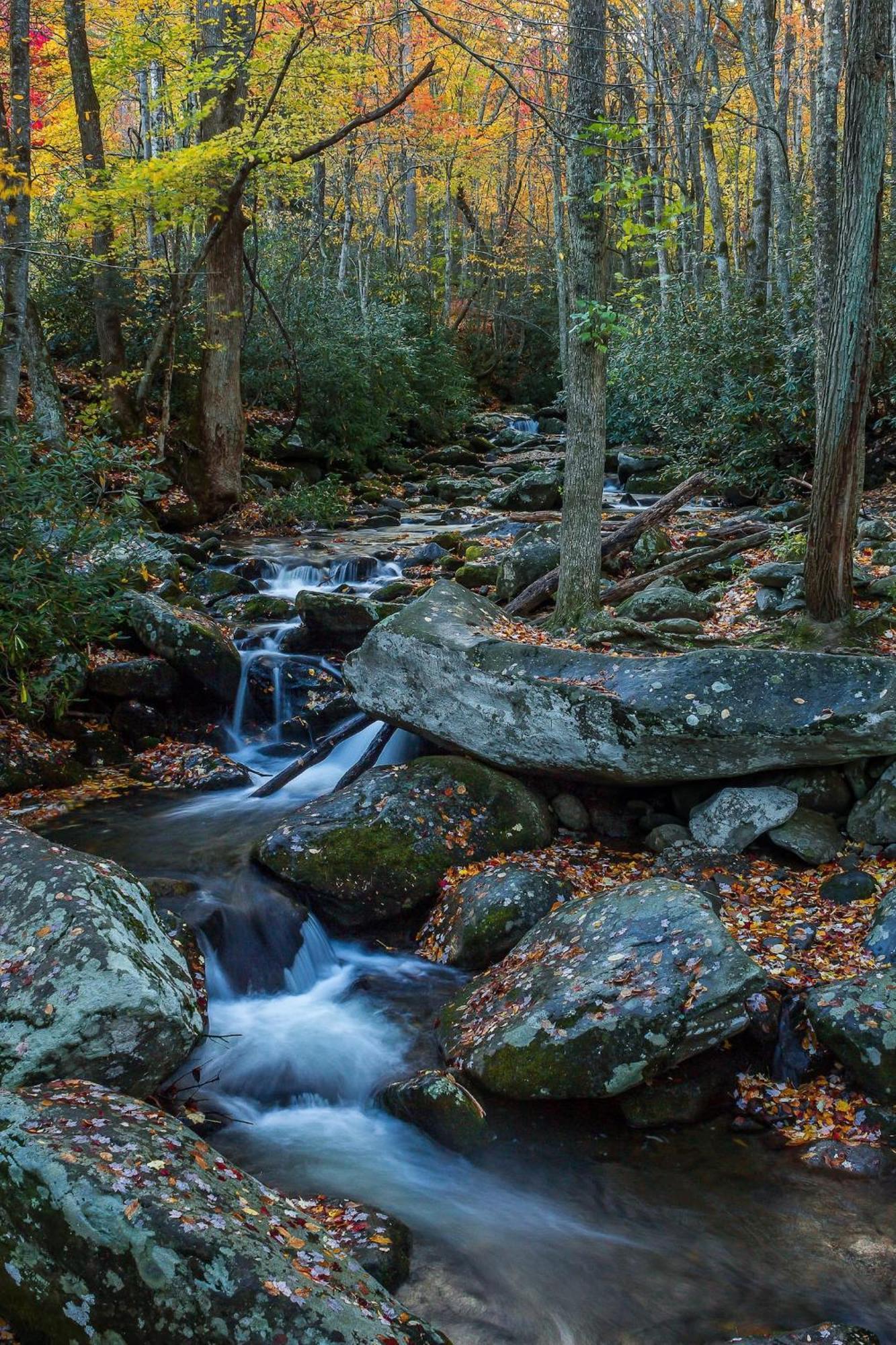 Vila Views I Mins To Dollywood I Hot Tub I Pool Table Sevierville Exteriér fotografie